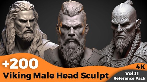 +200 Viking Male Head Sculpt (4K)