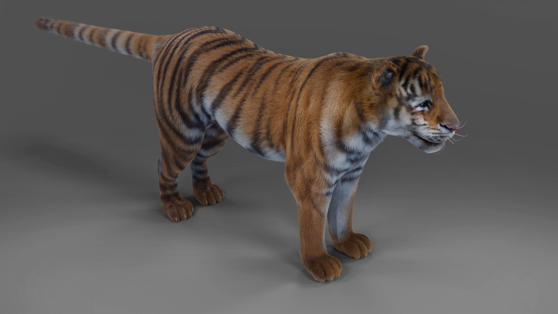 ArtStation - Bengal Tiger (Fur)