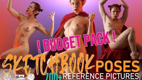 Sketchbook Poses !BUDGET PACK!  700+ reference pictures