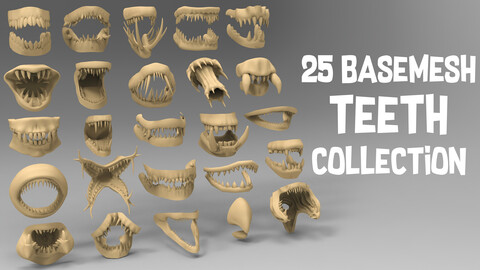 25 basemesh teeth collection