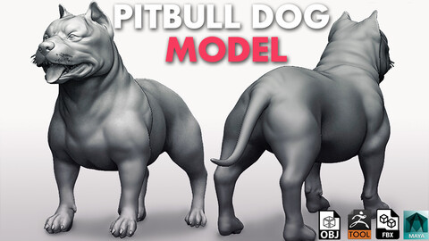 Pitbull Dog  - Topology + UV map