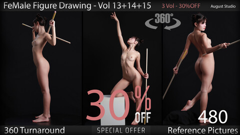 Female Figure Drawing - Vol 13 14 15 - Bundle - Reference Pictures