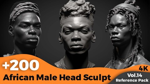 +200 African Male Head Sculpt (4K)