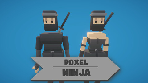 Poxel - Ninja Characters - Rigged