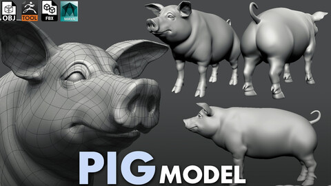 Pig  - Topology + UV map