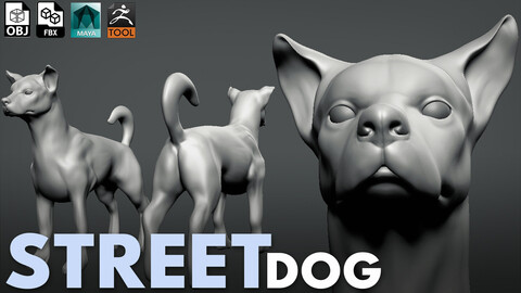 Street Dog  - Topology + UV map