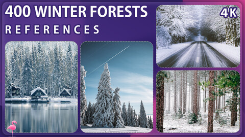 400 Winter Forests Reference Pack – Vol 1