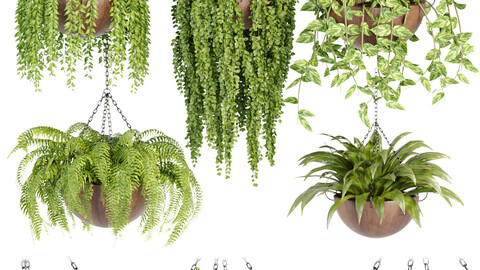 Hanging plants collection vol 33