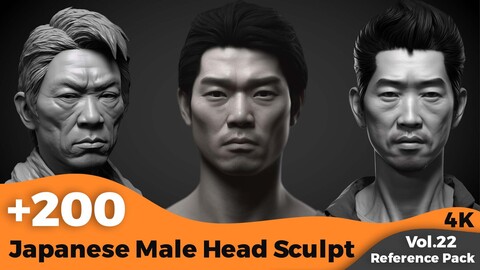 +200 Japanese Male Head Sculpt (4K)