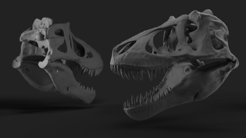 T.rex Skull Sculpt