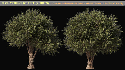 Eucalyptus Olive tree(2 trees) 3Dsmax+ spedtree+fbx+obj+stl+texture (15 DIFFRENT FILES)