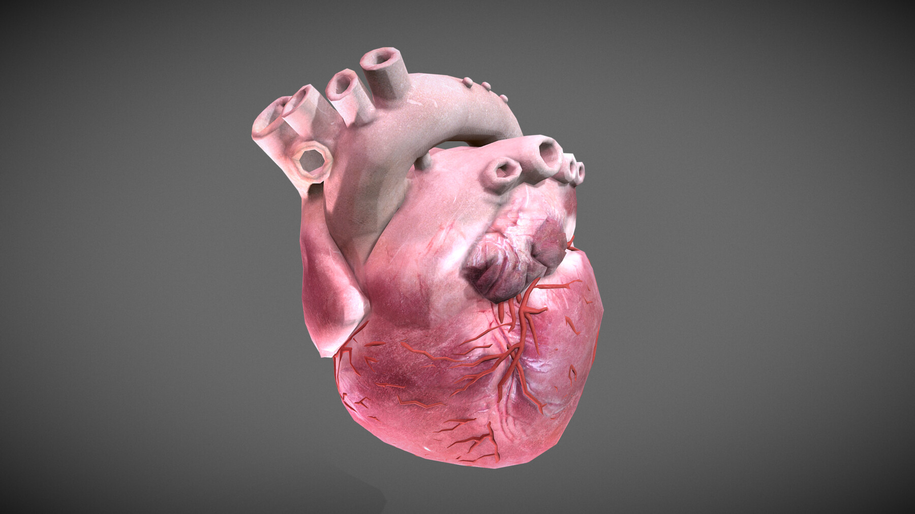 ArtStation - Human Heart | Resources