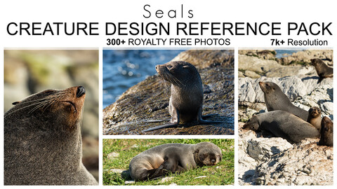 Creature Design Reference Pack - Seals - 300+ Royalty Free Photos