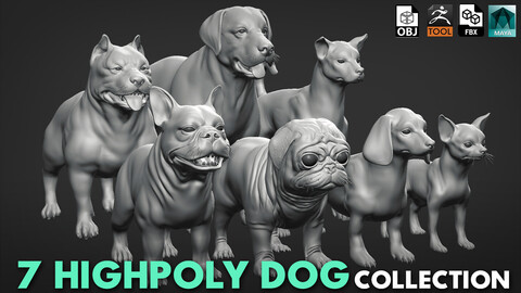 Mega Dog Collection ( Pitbull, Labrador, StreetDog, French BullDog, Pug, Dachshund, Chihuahua) - Topology + UV map