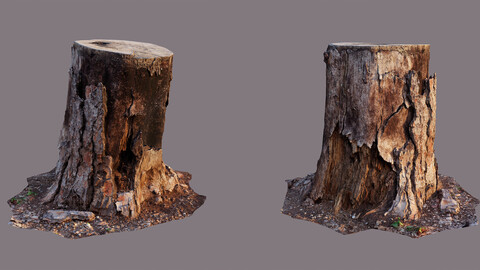 Photoscanned Tree trunk (Cinema 4D + Corona)