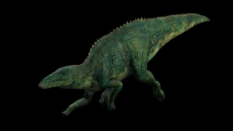 Shantungosaurus | Shandong Dinosaur | Ngchipv