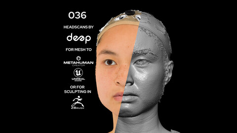 Asian Female 30s head scan 036