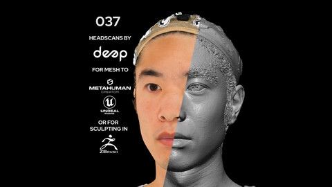 Asian Male 30s head scan 037