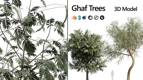 Rigged Ghaf trees of Emirates