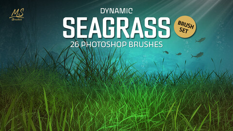 Seagrass Photoshop Brushes | MS Brushes