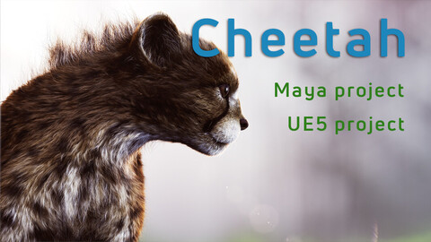 Cheetah_Maya project + UE5 project