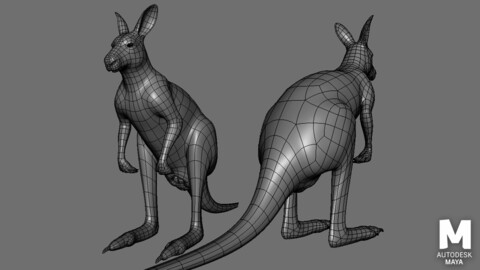 Kangaroo Male BaseMesh - Topology + UV Map