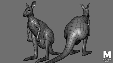 Kangaroo Female BaseMesh - Topology + UV Map