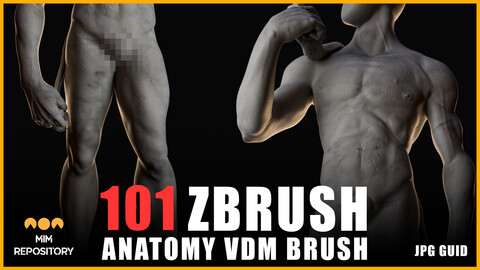 101 Anatomy VDM Brush - Body parts and Muscles