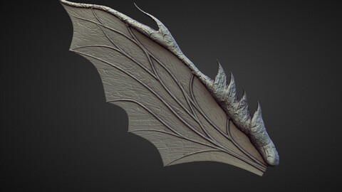 WING30 high poly sculpt