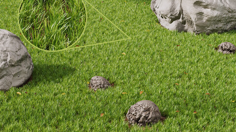 Grass Rocky Park Summer