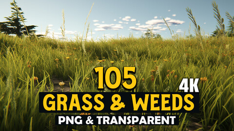 105 Grass & Weeds Images - High End Quality - 4K