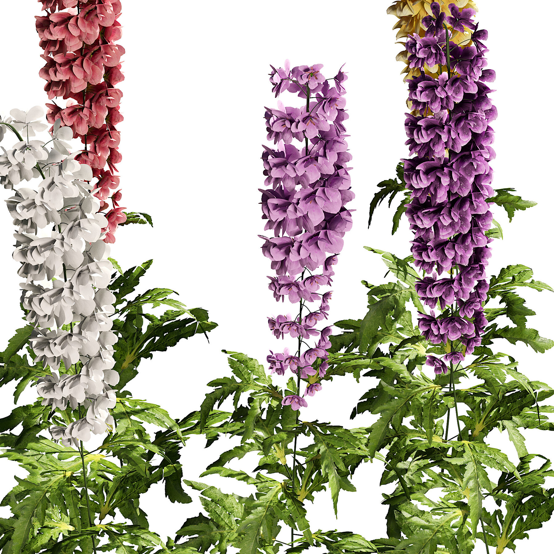 Larkspur - Pink - Delphinium