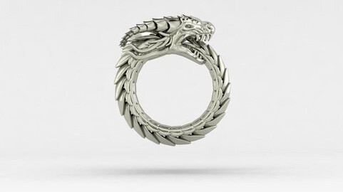 Angry dragon ring 3Dprint model file