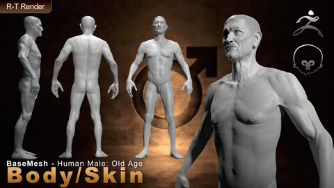 Human Male [ Body/Skin Basemesh ] Old Age