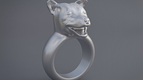 Pitbull Dog Ring