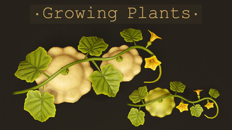 Growing Farm Plants Pack | Farm Crops