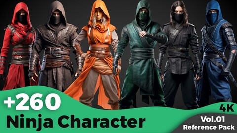 +260 Ninja Character Concept(4k)