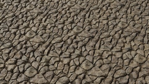 Dry Mud PBR Texture