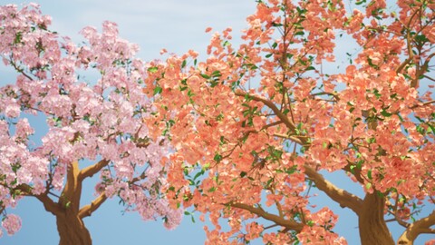 2 Flowering cherry trees 3d model