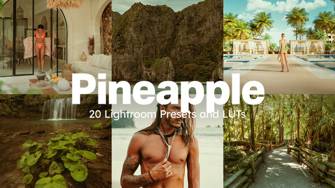 20 Pineapple LUTs & Lightroom Presets