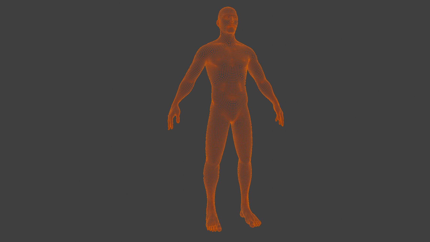 Blender Models Human 20