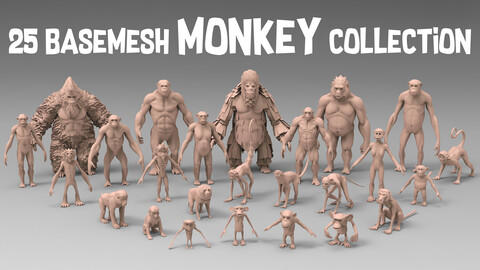 25 basemesh monkey collection