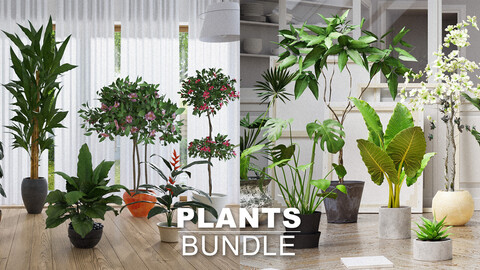 Plants Collection BUNDLE