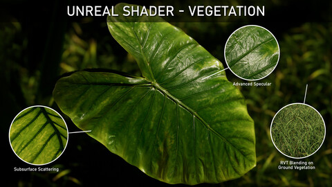 Unreal Shader : Vegetation