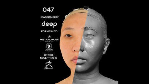 Asian Female 30s head scan 047