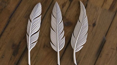 feathers