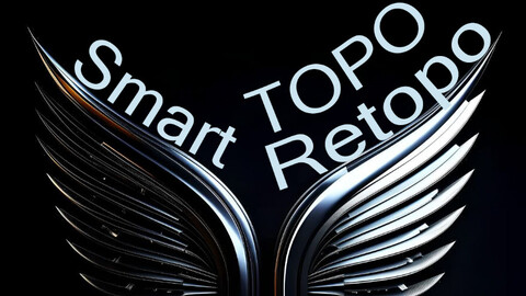 Smart Topo Retopo