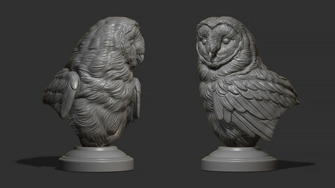 Barn owl bust