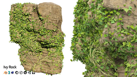 Rock with Ivy 3D Model