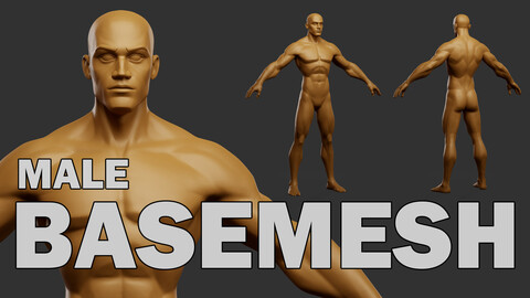 Male Stylized Basemesh